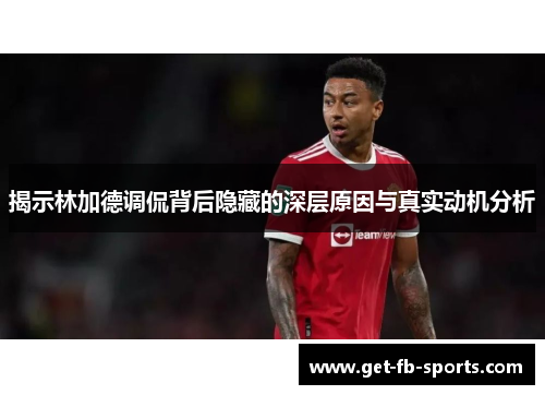 揭示林加德调侃背后隐藏的深层原因与真实动机分析